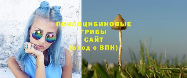 МДПВ Елабуга