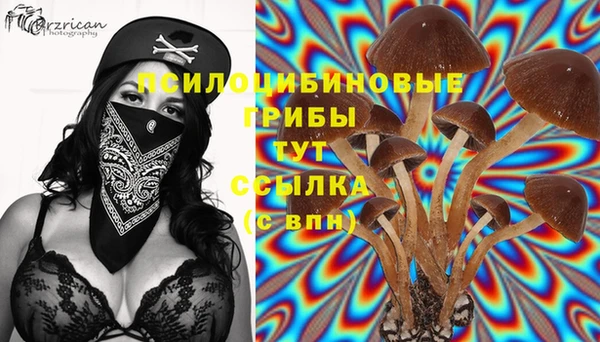 МДПВ Елабуга