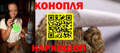 сатива Коммунар
