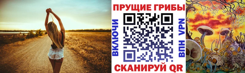 Галлюциногенные грибы Psilocybe  Северобайкальск 