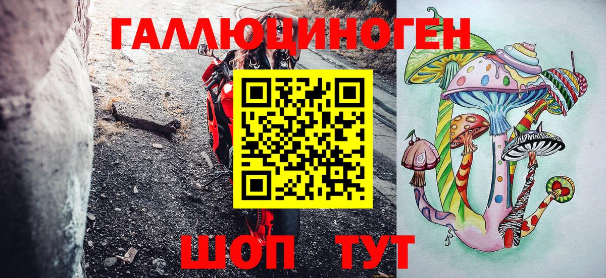Северобайкальск  Галлюциногенные грибы GOLDEN TEACHER  Вход с VPN 